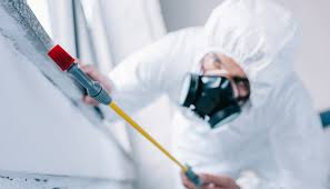 Real Estate Pest Inspections in Bray, OK